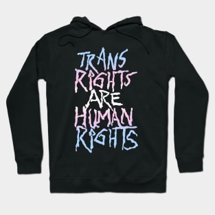 Trans Rights Are Human Rights! Hoodie